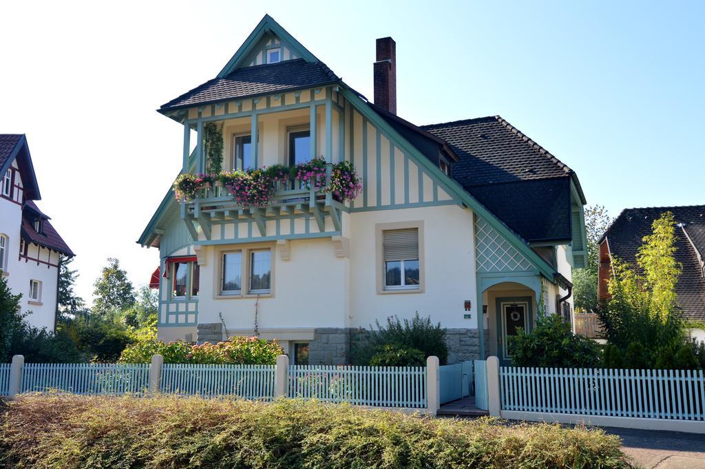 غينغنباخ Schwarzwald Villa المظهر الخارجي الصورة