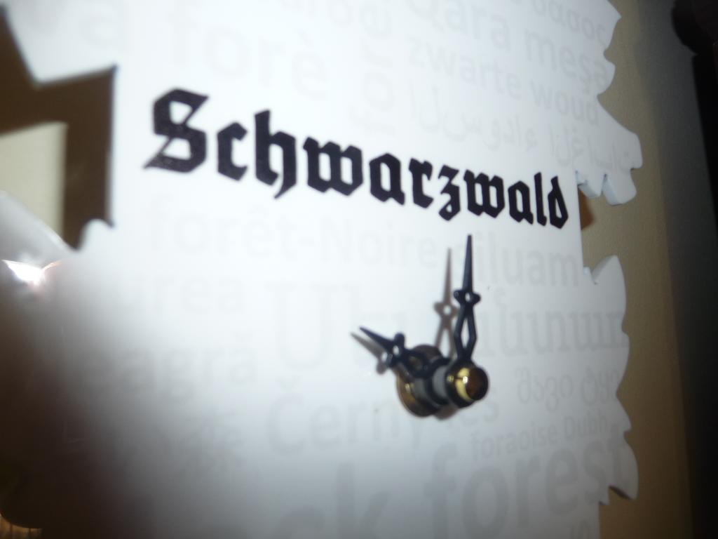 غينغنباخ Schwarzwald Villa المظهر الخارجي الصورة