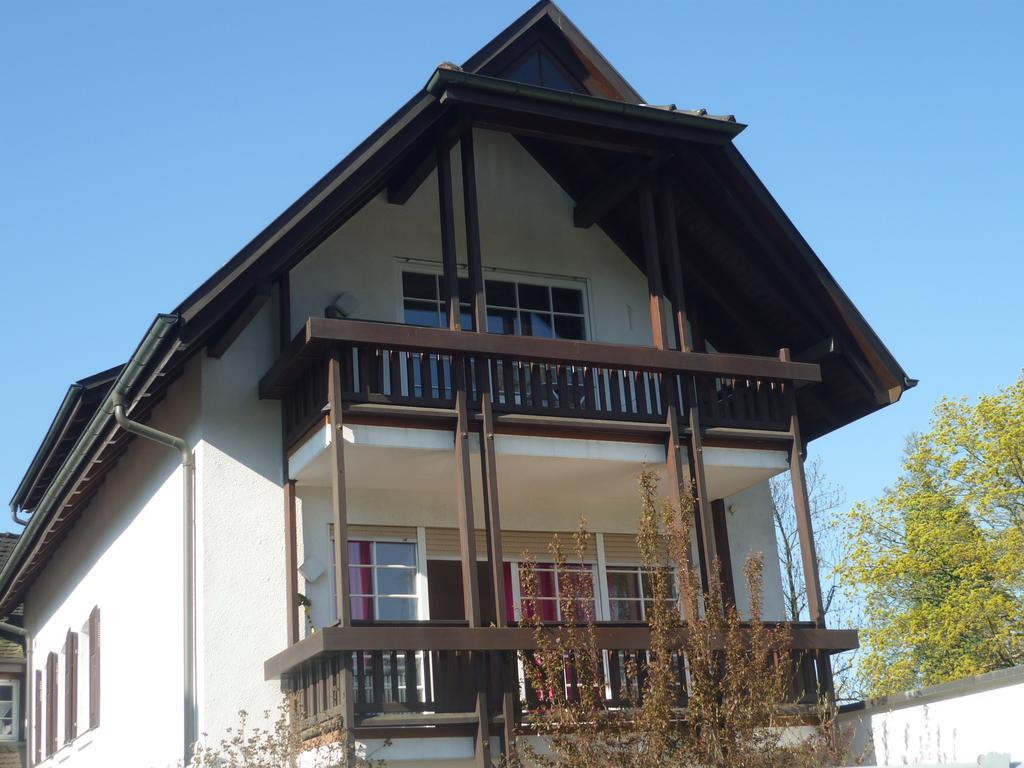 غينغنباخ Schwarzwald Villa المظهر الخارجي الصورة