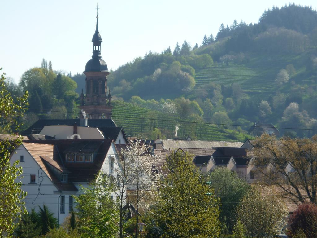 غينغنباخ Schwarzwald Villa المظهر الخارجي الصورة