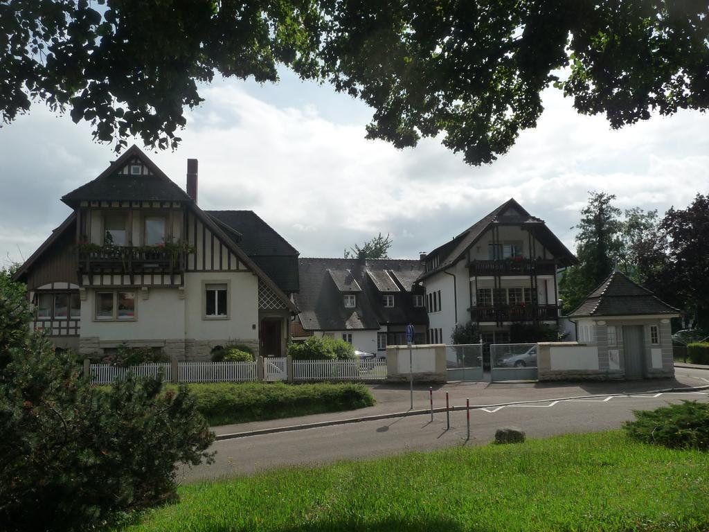 غينغنباخ Schwarzwald Villa المظهر الخارجي الصورة