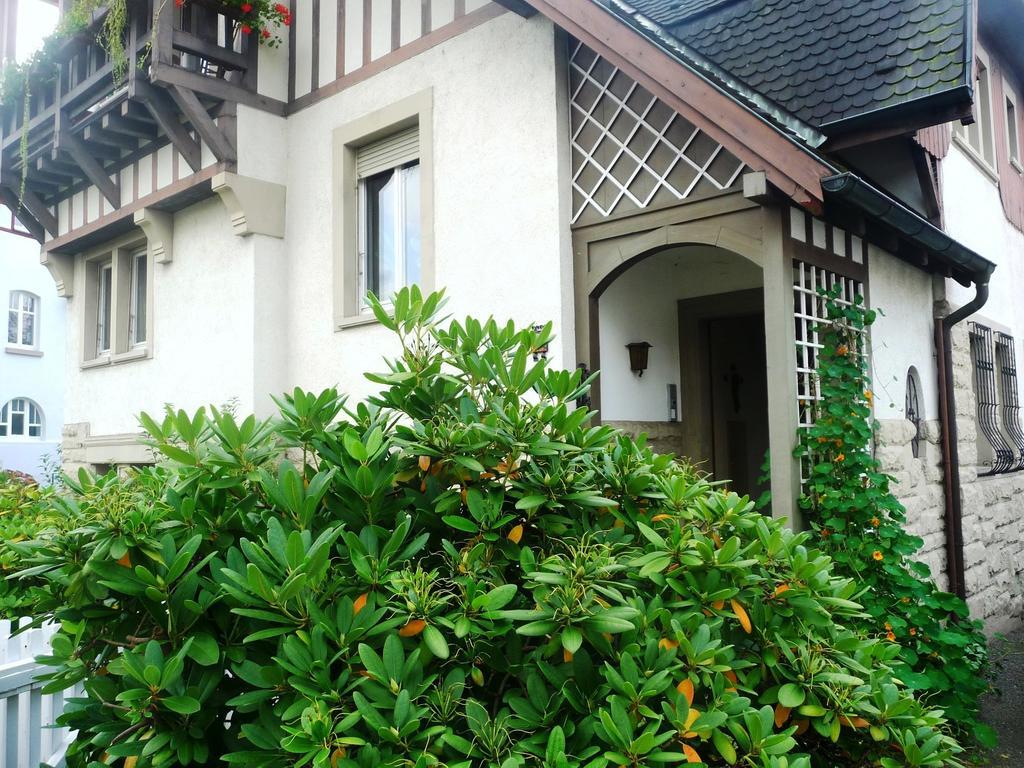 غينغنباخ Schwarzwald Villa المظهر الخارجي الصورة