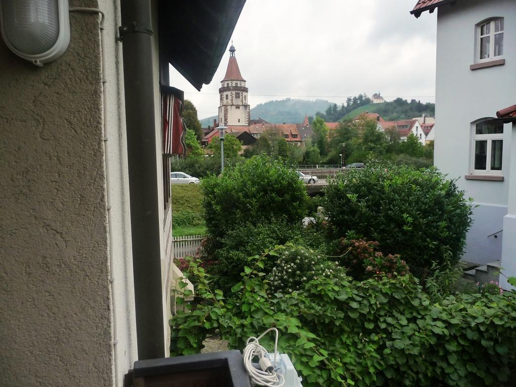 غينغنباخ Schwarzwald Villa المظهر الخارجي الصورة