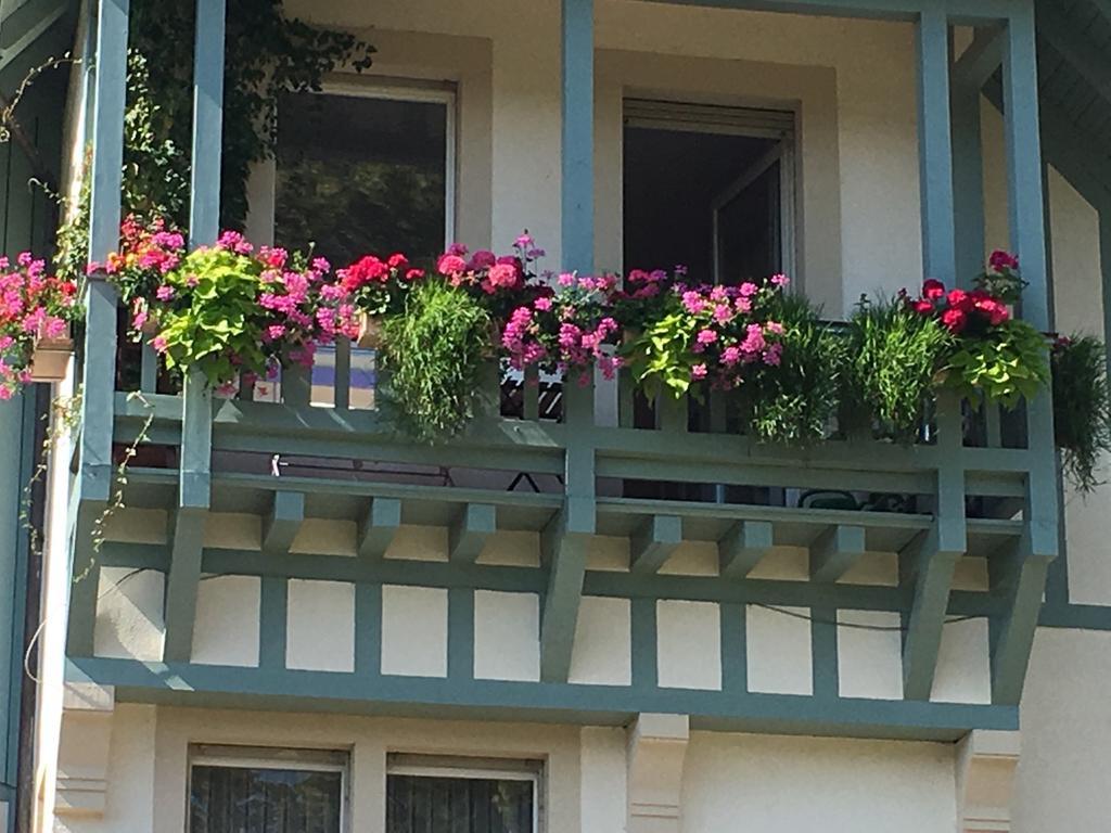 غينغنباخ Schwarzwald Villa المظهر الخارجي الصورة