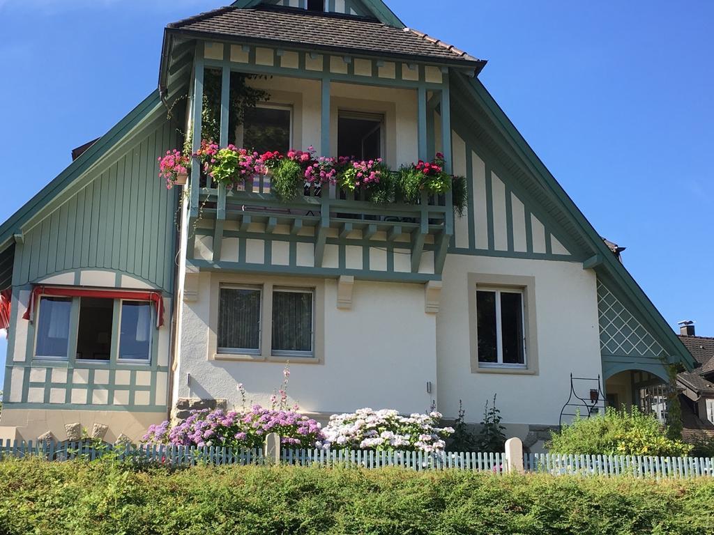 غينغنباخ Schwarzwald Villa المظهر الخارجي الصورة